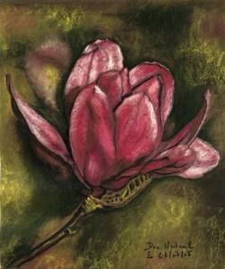 Voir le détail de cette oeuvre: fleur de magnolia