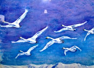 Fenêtre ouverte : les oiseaux à Paimboeuf